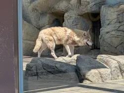 天王寺動物園に投稿された画像（2026/5/9）