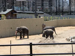 天王寺動物園に投稿された画像（2026/5/9）