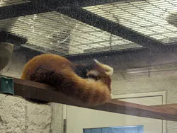 天王寺動物園に投稿された画像（2026/5/9）