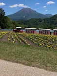 とっとり花回廊に投稿された画像（2026/5/9）