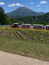 とっとり花回廊に投稿された画像（2026/5/9）