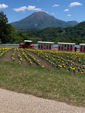 とっとり花回廊に投稿された画像（2026/5/9）