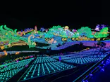伊豆高原グランイルミに投稿された画像（2026/5/9）