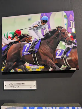 武豊 デビュー40年 ～前人未到の記録～　（銀座三越）に投稿された画像（2026/5/9）