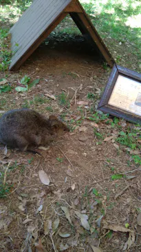 こども動物自然公園（埼玉県公園緑地協会）に投稿された画像（2026/5/9）