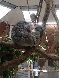 こども動物自然公園（埼玉県公園緑地協会）に投稿された画像（2026/5/9）