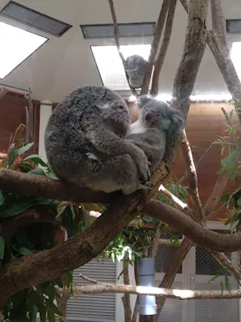 こども動物自然公園（埼玉県公園緑地協会）に投稿された画像（2026/5/9）