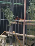 東北サファリパークに投稿された画像（2026/5/10）