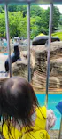 名古屋市東山動植物園に投稿された画像（2026/5/10）