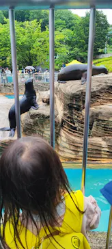 名古屋市東山動植物園に投稿された画像（2026/5/9）