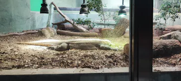 名古屋市東山動植物園に投稿された画像（2026/5/9）