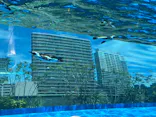 サンシャイン水族館に投稿された画像（2026/5/10）