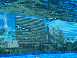 サンシャイン水族館に投稿された画像（2026/5/9）