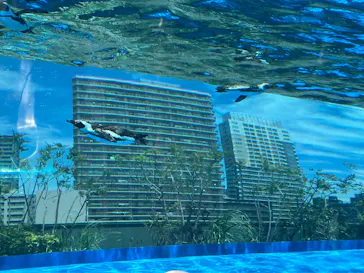 サンシャイン水族館に投稿された画像（2026/5/9）