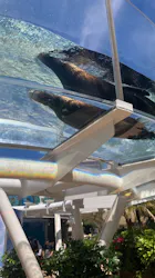 サンシャイン水族館に投稿された画像（2026/5/9）