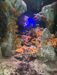サンシャイン水族館に投稿された画像（2026/5/9）