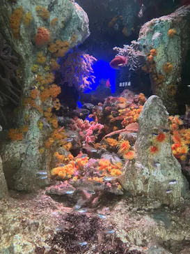 サンシャイン水族館に投稿された画像（2026/5/9）