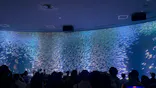 名古屋港水族館に投稿された画像（2026/5/10）