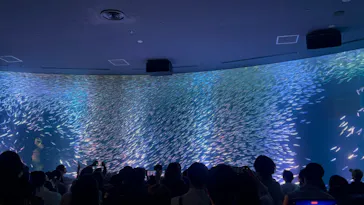 名古屋港水族館に投稿された画像（2026/5/10）