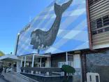 太地町立くじらの博物館に投稿された画像（2026/5/10）