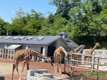 多摩動物公園に投稿された画像（2026/5/10）