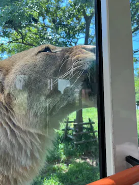 多摩動物公園に投稿された画像（2026/5/10）