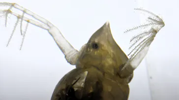 ミュージアムパーク茨城県自然博物館に投稿された画像（2026/5/10）