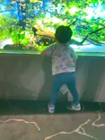 カワスイ 川崎⽔族館に投稿された画像（2026/5/10）