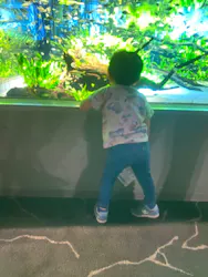 カワスイ 川崎⽔族館に投稿された画像（2026/5/10）