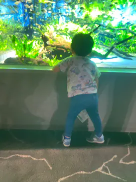 カワスイ 川崎⽔族館に投稿された画像（2026/5/10）
