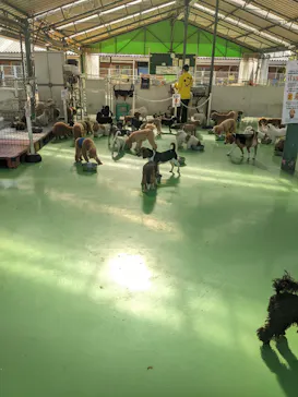 つくばわんわんランドに投稿された画像（2026/5/10）