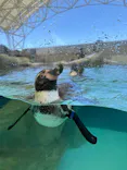 城崎マリンワールドに投稿された画像（2026/5/10）