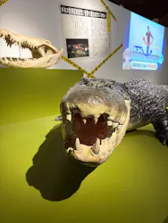 特別展「超危険生物展　科学で挑む生き物の本気」に投稿された画像（2026/5/10）