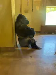名古屋市東山動植物園に投稿された画像（2026/5/10）