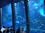 横浜・八景島シーパラダイスに投稿された画像（2026/5/10）