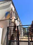 宇都宮動物園に投稿された画像（2026/5/10）