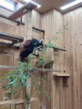 名古屋市東山動植物園に投稿された画像（2026/5/10）