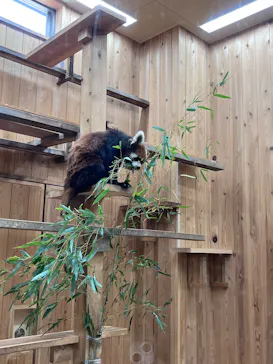 名古屋市東山動植物園に投稿された画像（2026/5/10）
