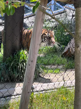 名古屋市東山動植物園に投稿された画像（2026/5/10）