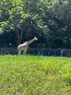 名古屋市東山動植物園に投稿された画像（2026/5/10）