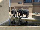 天王寺動物園に投稿された画像（2026/5/10）