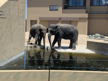 天王寺動物園に投稿された画像（2026/5/10）