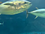 葛西臨海水族園に投稿された画像（2026/5/10）