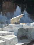天王寺動物園に投稿された画像（2026/5/10）