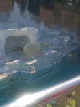 天王寺動物園に投稿された画像（2026/5/10）