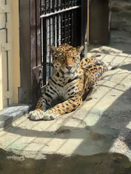 東武動物公園に投稿された画像（2026/5/10）
