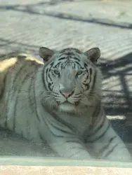 東武動物公園に投稿された画像（2026/5/10）