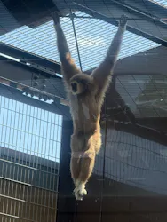 東武動物公園に投稿された画像（2026/5/10）