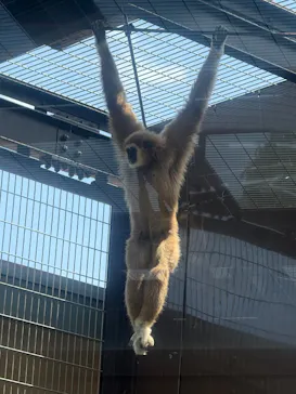 東武動物公園に投稿された画像（2026/5/10）