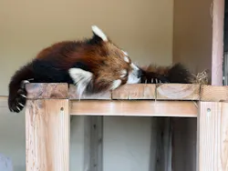 東武動物公園に投稿された画像（2026/5/10）
